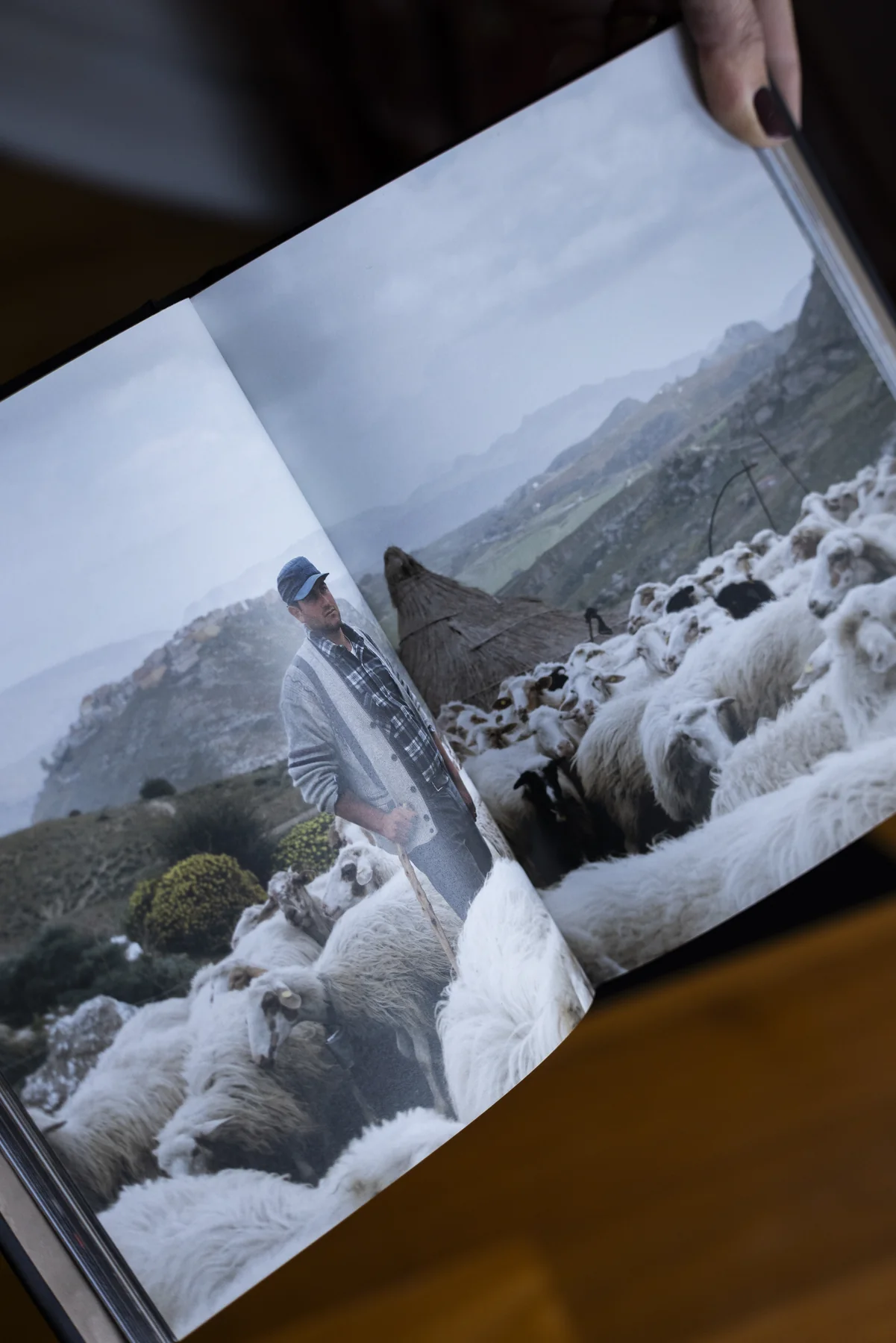 Libri cartonati prodotti da Paruzzo